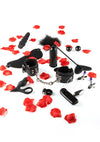 Set LoveToy Starter Kit BDSM cu 10 accesorii bondage de initiere in jocurile erotice, negru